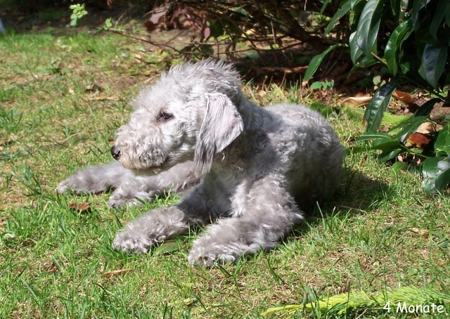 100_4538 - Kopie.JPG